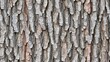 © lililia - The intricate texture of white bark reveals unique patterns, knotholes, and grain lines, showcasing nature's artistry in a captivating close-up view SEAMLESS PATTERN