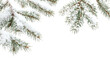 © Krtola  - Evergreen branch with snow transparent background