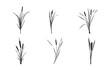 © DesignLands  - Cattail svg, Cattail silhouette, Cattail plant silhouette,  Reeds and cattail silhouette, Cattail plant svg, Cattail vector set.