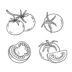 Wall Mural - set of hand drawn tomato. tomato in sketch style on a white background. black and white illustration