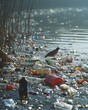 © Yulia - Environmental impact of plastic pollution in river ecosystems