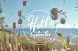 © SKIMP Art - The word 'Hello September' written in the middle of a circle, in front of an autumn field with tall grasses and wildflowers, with a blurred background of blue sky and ocean Generative AI