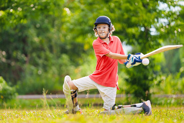 Sticker - Kids playing cricket in summer park