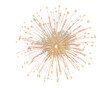 © Rawpixel.com - PNG Vibrant golden fireworks burst
