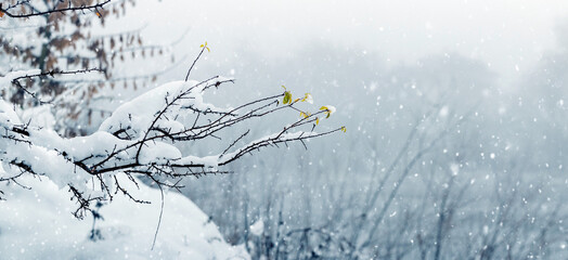 Wall Mural - A branch of a tree near a river covered with a large cap of snow during a snowfall