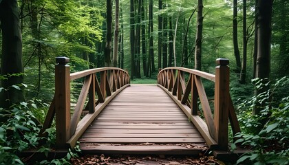 Wall Mural - The quiet forest bridge is surrounded by lush trees, and the sun shines on the path through the leaves.