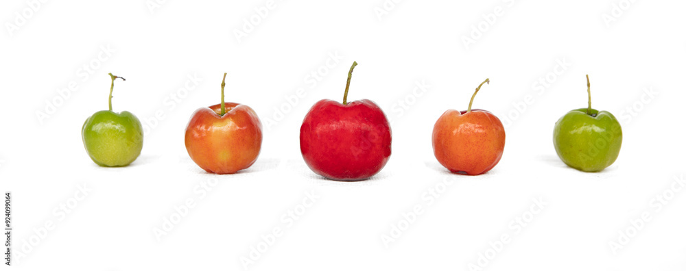 Different ripening stages of fresh organic Acerola Cherry. Brazilian ...