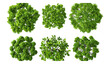 © LOVE VECTOR - Big vector set of green trees, top view shape, large green tree silhouettes, vector illustrations of tree shapes, jungle tree design Transparent Background