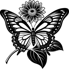 butterfly design