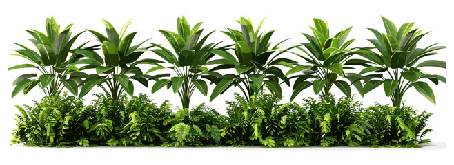 Wall Mural - 3D vector illustration of lush jungle foliage, tropical rainforest greenery, shrubs row on tropical meadows, verdant tropical landscape, dense jungle vegetation, tropical greenery in meadows