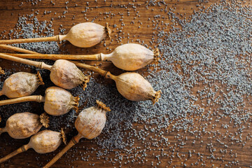 Poster - Dry poppy seed and poppy head on wooden table.