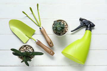 Wall Mural - Succulent and gardening tools on white wooden background. Top view