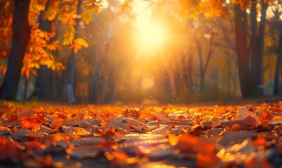 colorful forest landscape in autumn. sunlight shining onto brown, orange and yellow leaves in fall. 