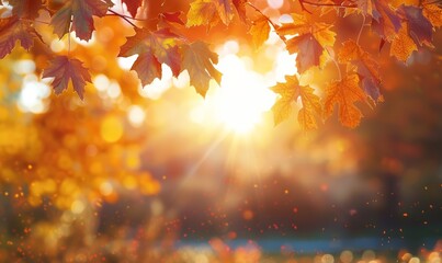 Sunlight shining onto colorful brown, orange and yellow autumn leaves in the forest. Beautiful, light seasonal fall background with blurred bokeh background effect.