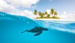 © Elie - a tropical beach background with a sea turtle gliding through the water, and palm trees swaying in the breeze create with ai