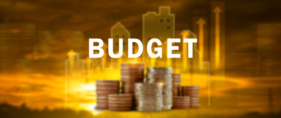 Budget Financial planning and management concept, Company budget allocation for business project management, Effective and smart budgeting, BUDGET concept.