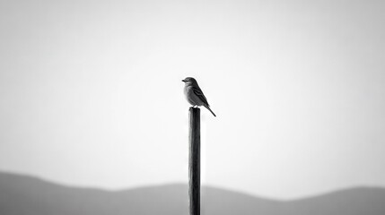   A monochrome picture of a bird perched atop a pole amidst a mountainous landscape