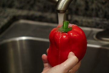 Washing red bell pepper under kitchen faucet