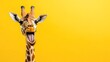© Thanthara - Portrait Banner for Website of surprised amazed giraffe pet with a curious face with open mouth at on yellow studio background. Website banner concept. Advertising postcards, notebooks.