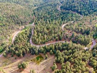 Curvy windy mountain pine road aerial drone view motorcycle