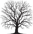 © Arnab - A dead tree silhouette highlights its barren branches, creating a stark and haunting visual.