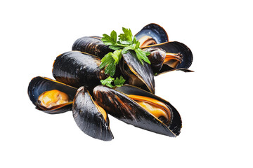 PNG Steamed mussels garnished with fresh herbs on a white background