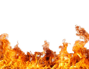 Burning fire flames border white texture isolated on a transparent or white background.