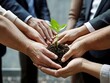 © Rafli - business people planting and protecting small shoots by hand, collection of business people holding small shoots