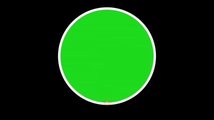 Follow animation Social media TikTok template video