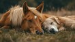 © akhmad - Horse and Dog Napping Together in a Field