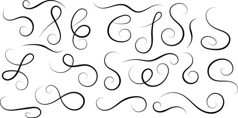 Wall Mural - set of different flourish thin line curve ornament vector illustration.