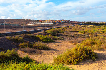 Wall Mural - landscape of Coastline in Fuerteventura, Canary Islands, Spain. Surroundings with sandy terrain and distant mountains.  Barren, dry field with a few trees and bushes