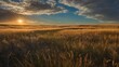 © LiaSyafitri - Golden sunset over a field of tall grass with a blue sky and clouds.