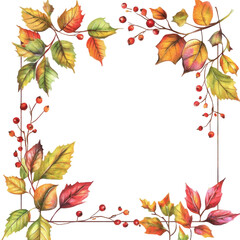 Autumn Leaves and Berries Illustration