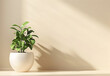 © Eddy Drmwn - Minimalist plant in a white pot on a beige background with copy space.