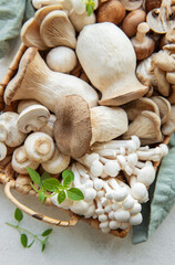 Wall Mural - Assortment of various raw mushrooms