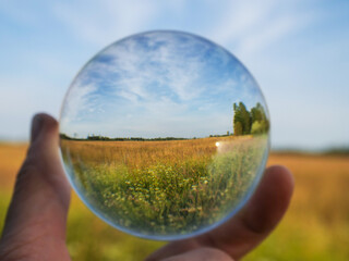 Wall Mural - glass ball in a hand and green summer nature field in the background. abstract nature background.. b