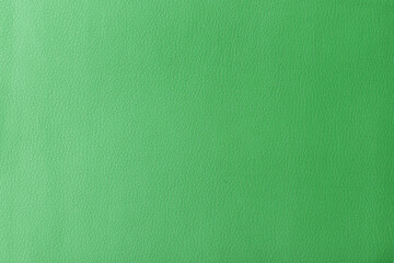 Canvas Print - Texture of genuine leather, artificial leatherette green background