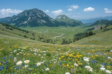 Wall Mural - Mountainous Landscape with Wildflower Meadow and Winding River