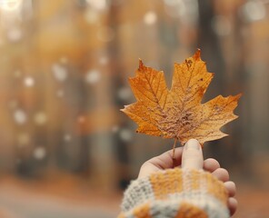 Canvas Print - Hand Holding Autumn Maple Leaf Against Blurred Forest Background