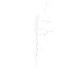 Glowing Thunder isolated on transparent background.png
