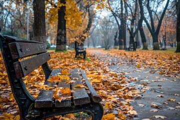 Wall Mural - Fall Image. Autumn City Park with Vibrant Maple Leaves Scattered on the Ground