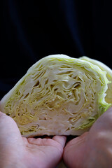 Cabbage is held by two hands. Close-up cabbage texture for agriculture, organic product, farmer, plant, eating vegetables for health concepts. Vertical image of cabbage with a black background.