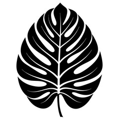 Monstera tropical plant leaf vector svg