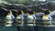 © Max_T - Penguin panorama
