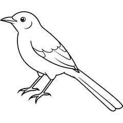 Poster - hand drawn bird outline illustration