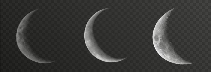 Wall Mural - set of realistic vector moon on an isolated transparent background. moon vector png.
