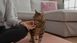 © Krakenimages.com - A hispanic woman in the living room of her home gently touches a tabby cat while sitting on the floor indoors.