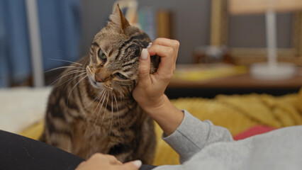 Wall Mural - A hispanic woman indoors comfortably petting her tabby cat on a bed in a cozy bedroom setting.