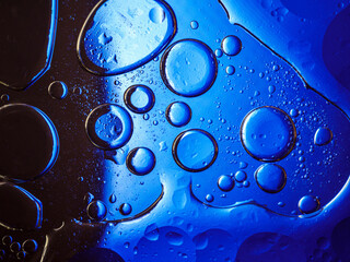 Bubbles on blue background. Abstract oxygen bubble water in sea sponge on blue background.Blue circle bubble water